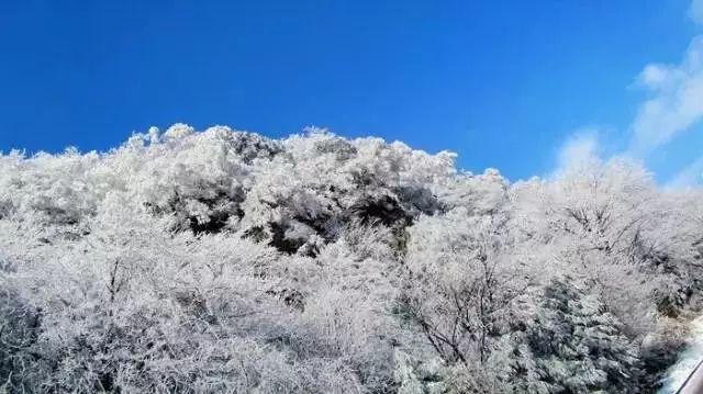 2024浙江两会进行时|卜伟绍:强化农业科技支撑,助推山区26县农业高质量发展