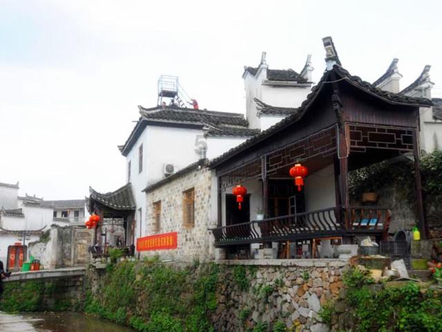 拯救机灵鸟